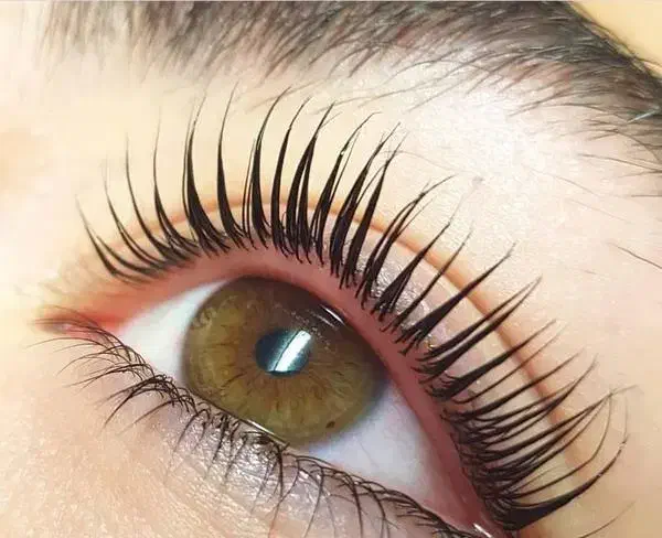 آفر ویژه خدمات میکروبلیدینگ ابرو|خدمات آرایشگری و زیبایی|پردیس, فاز ۴|دیوار