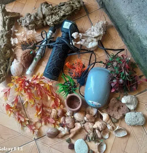 لوازم اکواریوم|ماهی|لنگرود, |دیوار