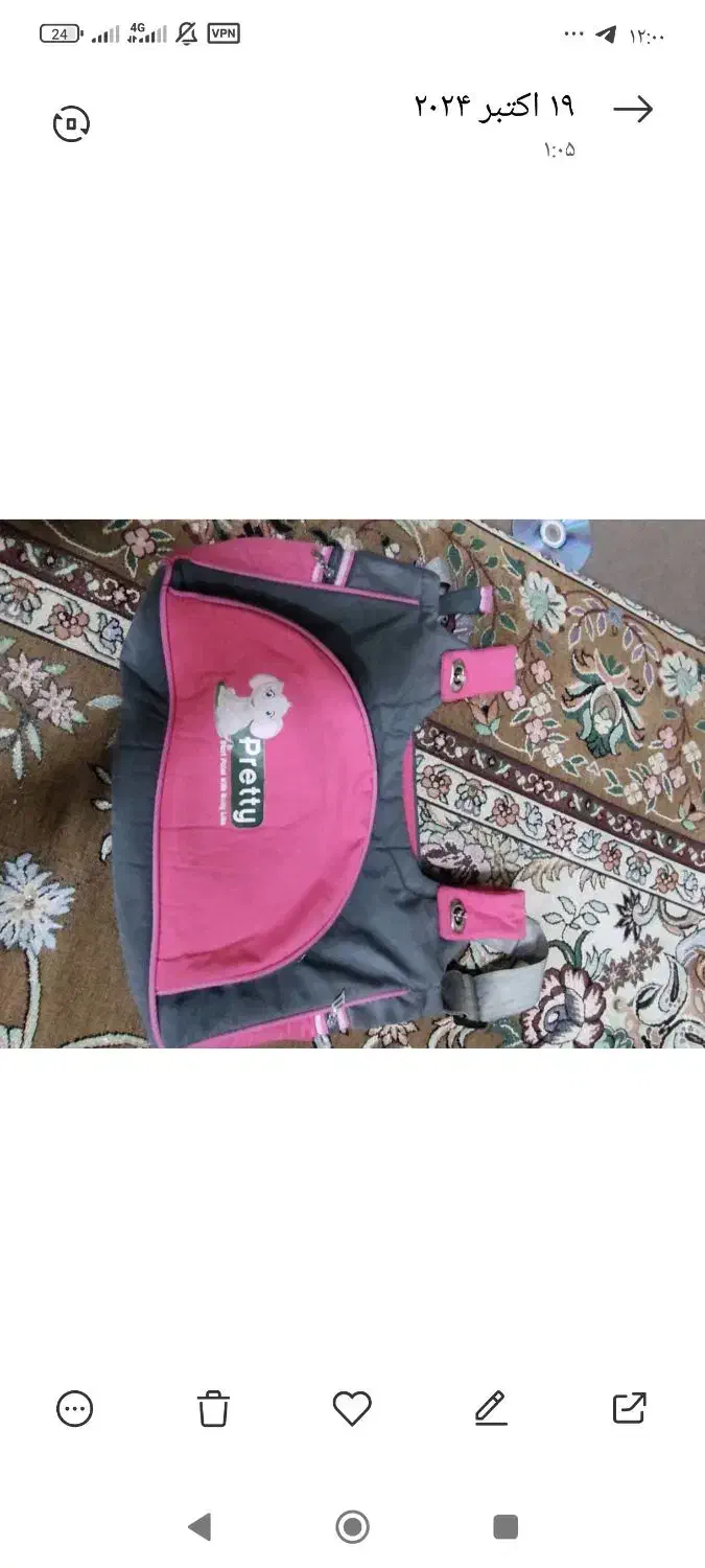 کیف بچه|کیف، کفش، کمربند|شهریار, شهرک امیریه|دیوار