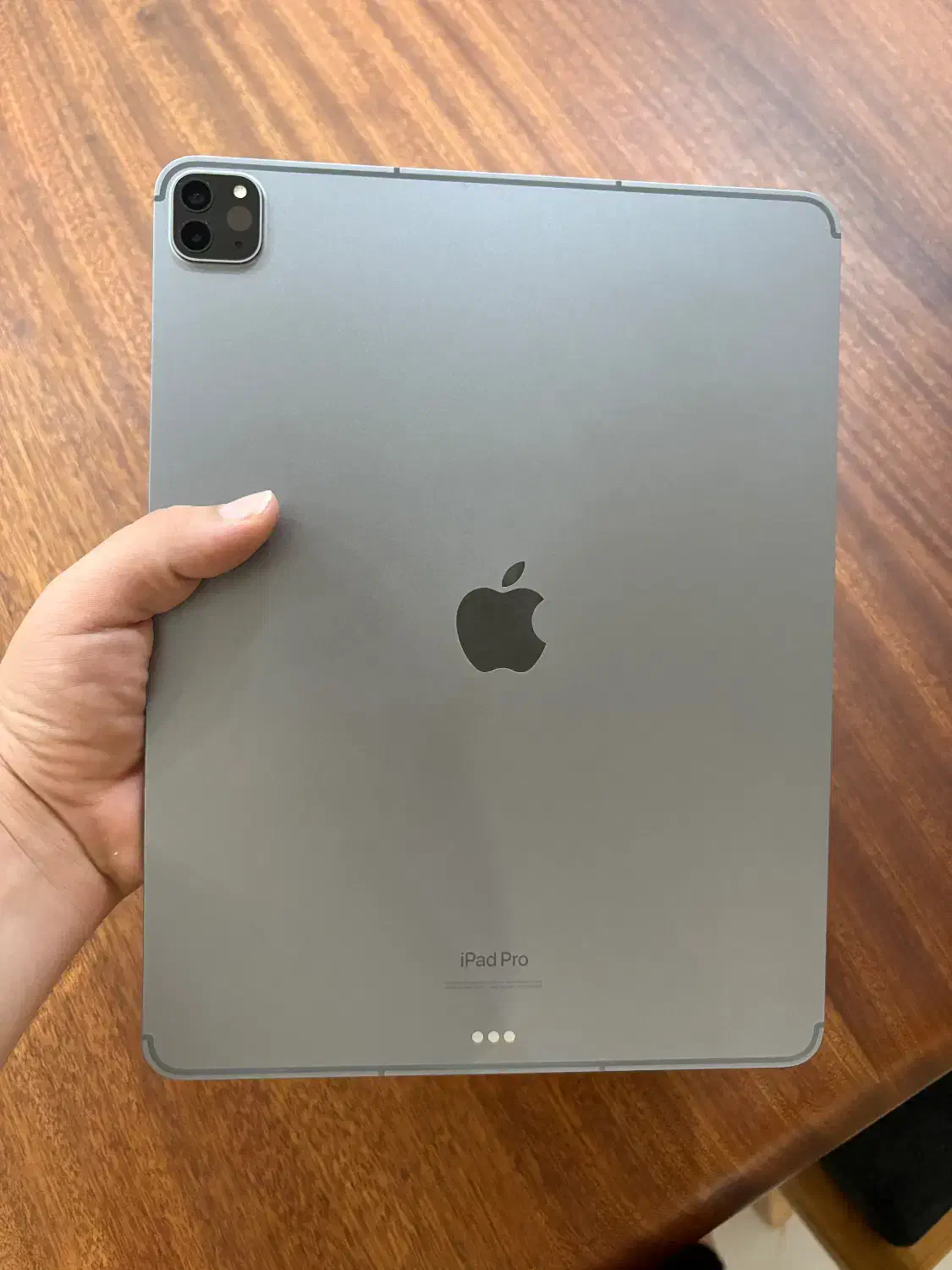 iPad m2 1t cellular|تبلت|بندرعباس, |دیوار