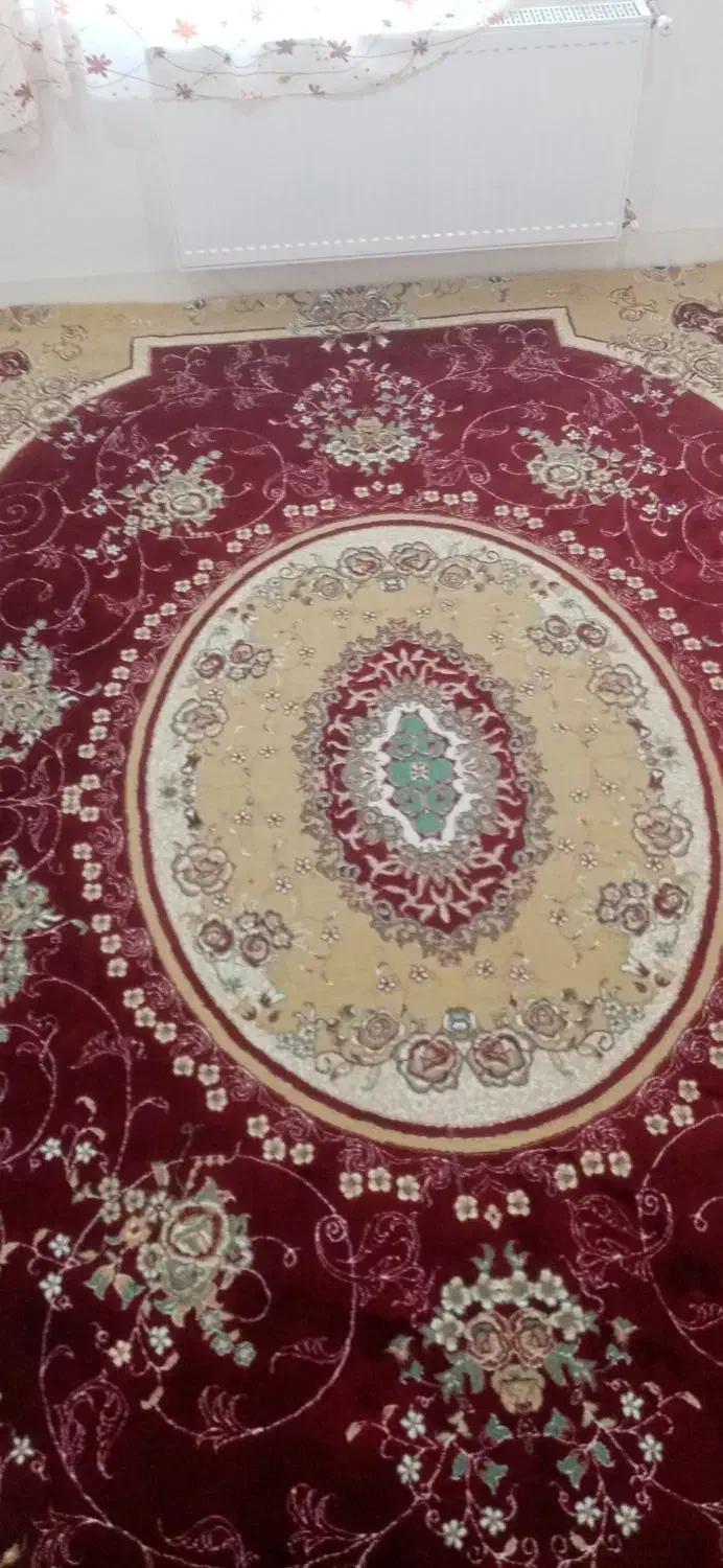 فرش در حدنو|فرش|بانه, |دیوار