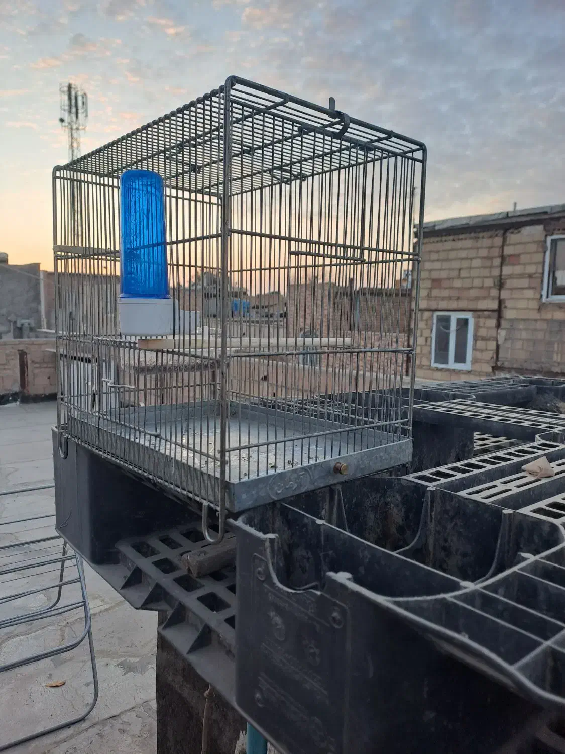 فروش قفس غلامی|لوازم جانبی حیوانات|ورامین, شهرک مدرس|دیوار