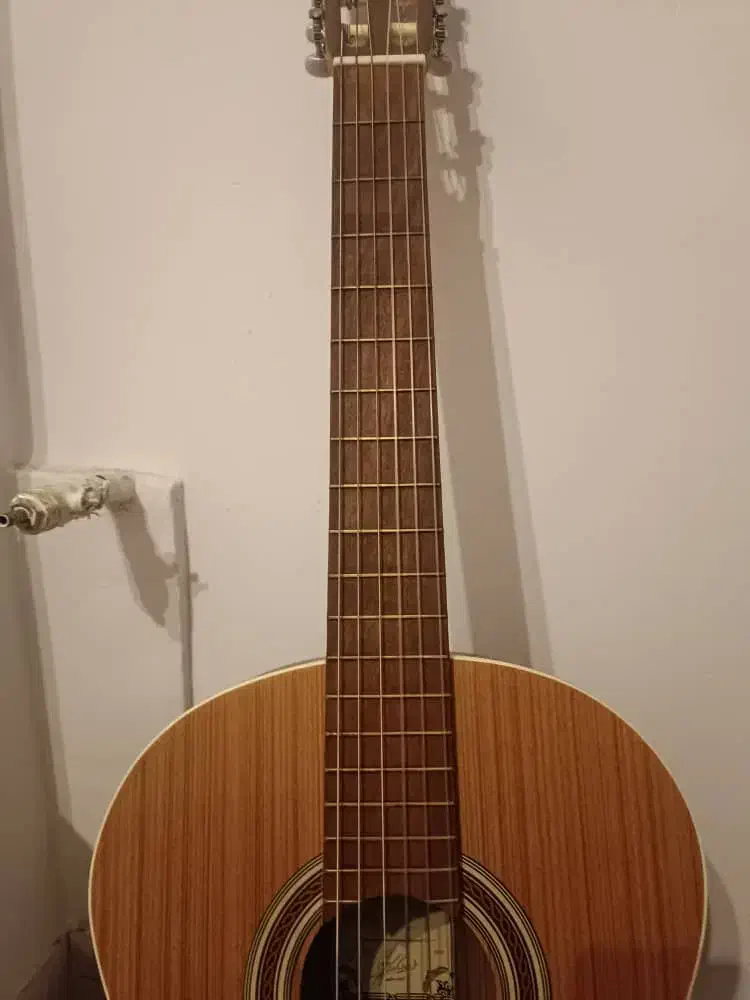 گیتار پارسی m5|گیتار، بیس، امپلیفایر|شیراز, دکتر حسابی|دیوار