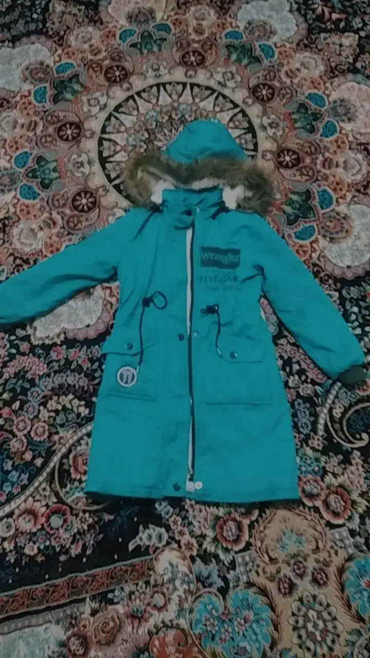 ۳ عدد کاپشن در حد نو|لباس|کلاله, |دیوار