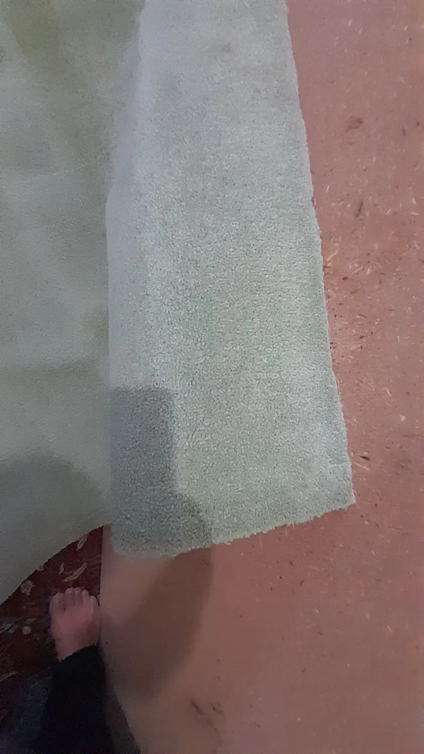 پلازموکت ۳در۶نو|موکت|همدان, |دیوار