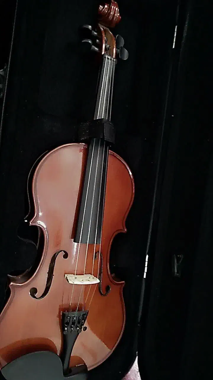 ویلون باخ آک|ویولن|مشهد, سپاد|دیوار