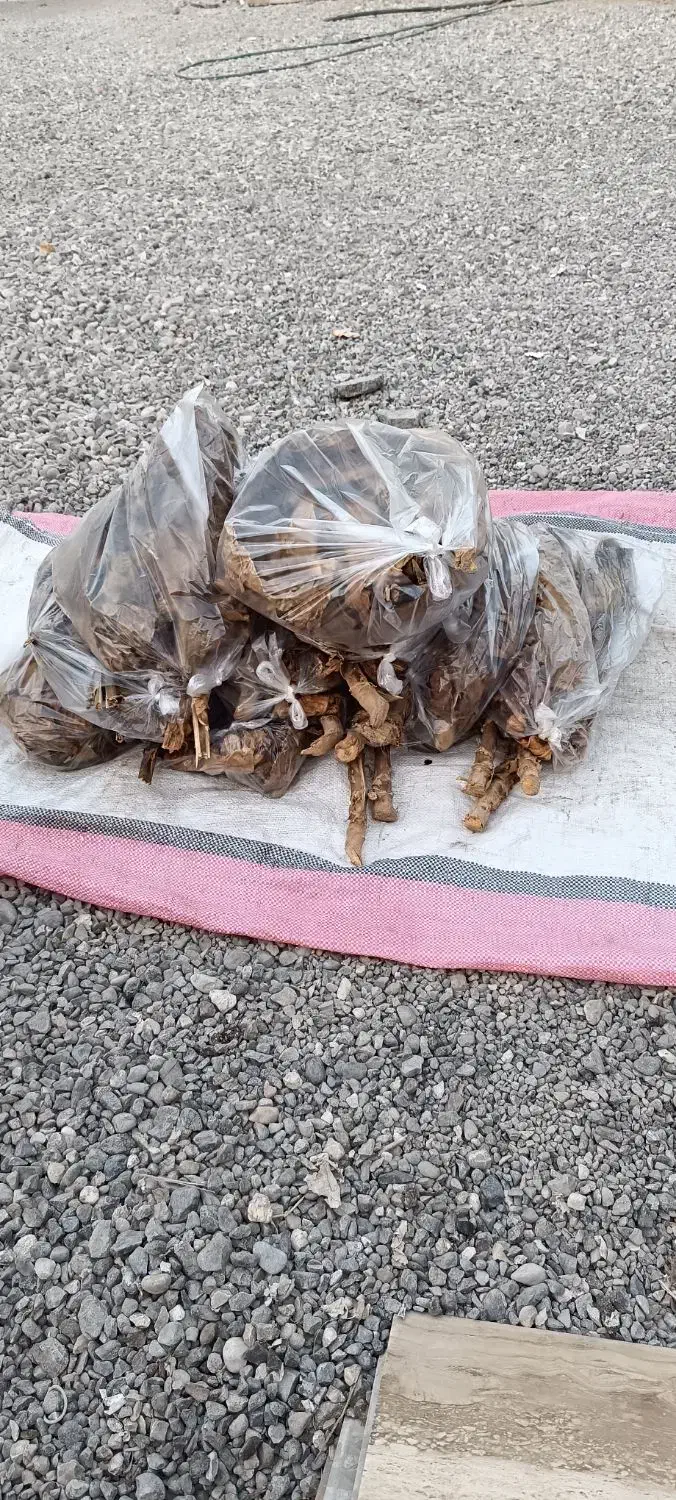 تمبک|کلکسیون و سرگرمی|میناب, |دیوار