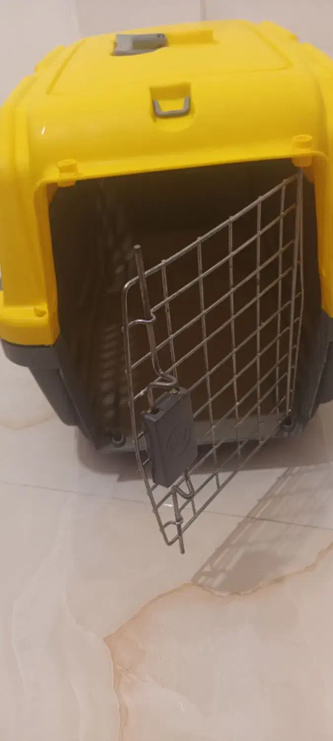 باکس حمل سگ و گربه|لوازم جانبی حیوانات|پردیس, فاز ۱|دیوار