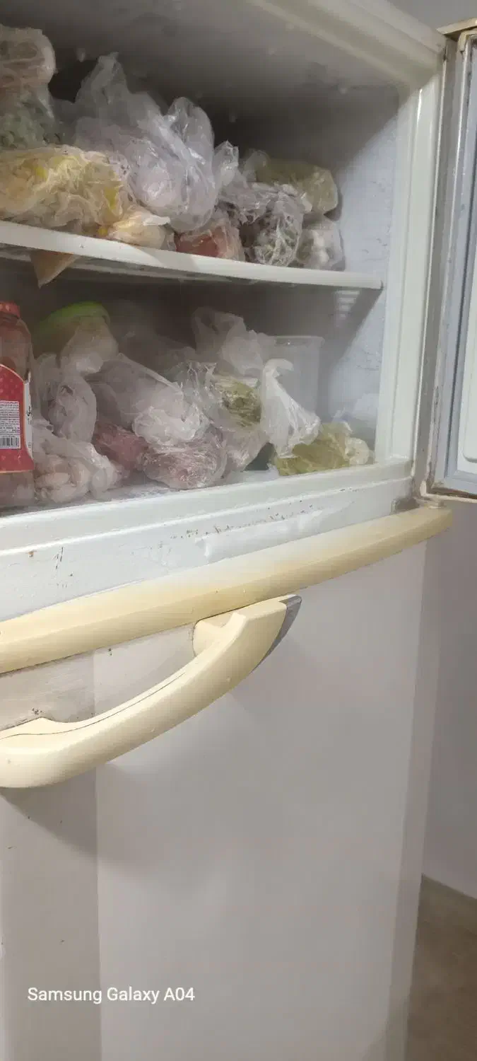 یخچال|یخچال و فریزر|رشت, حمیدیان|دیوار