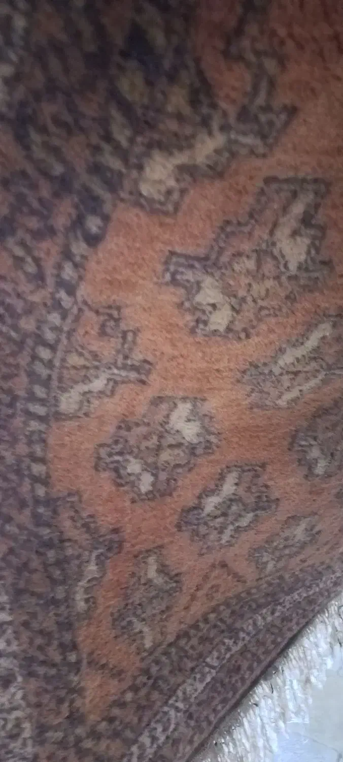 قالیچه|فرش|بیرجند, |دیوار