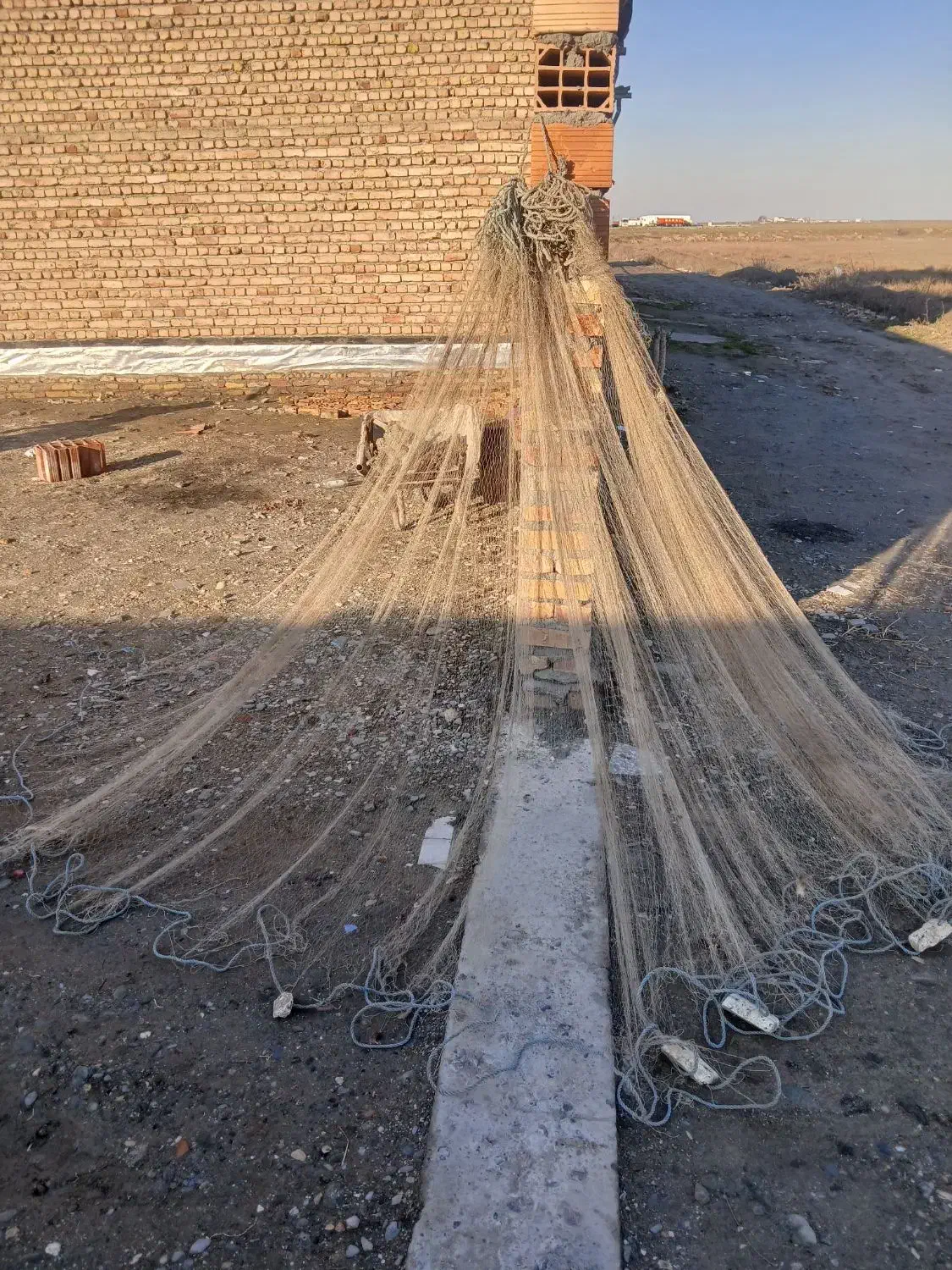 تور دور باغچه ای|ماهیگیری|بندر ترکمن, |دیوار