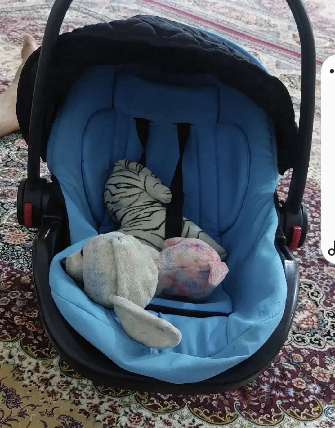 کریر|کالسکه و لوازم جانبی|مسجد سلیمان, |دیوار