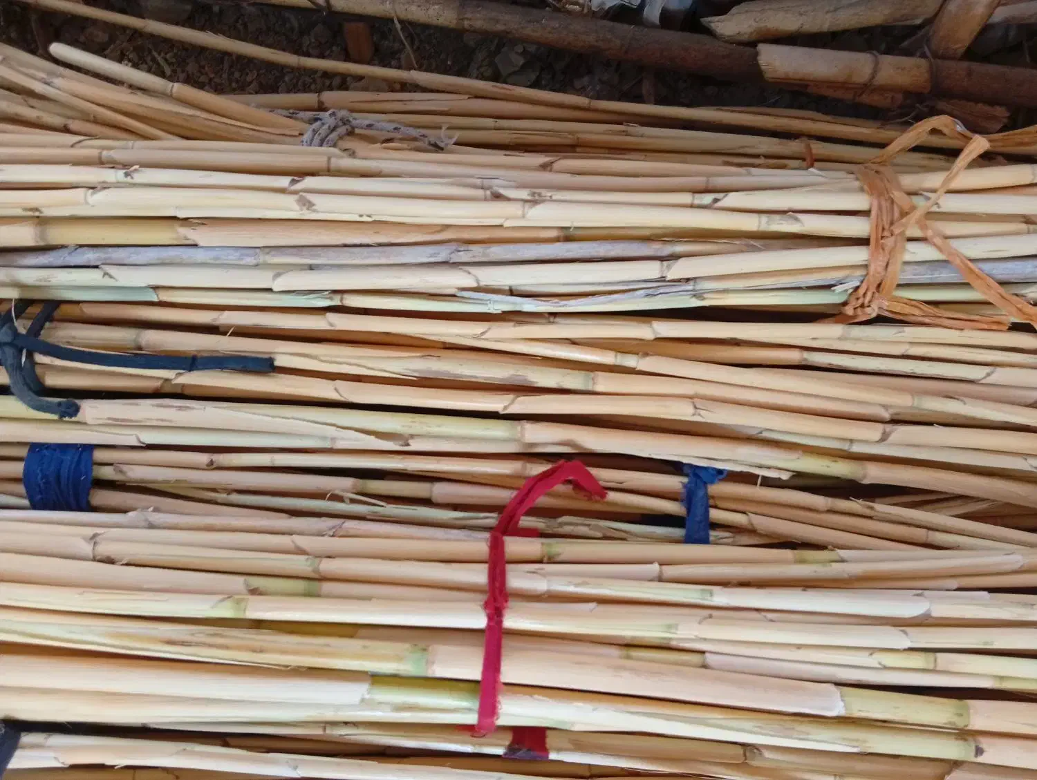 برای تکی و جفتی|سازهای سنتی|بوشهر, |دیوار