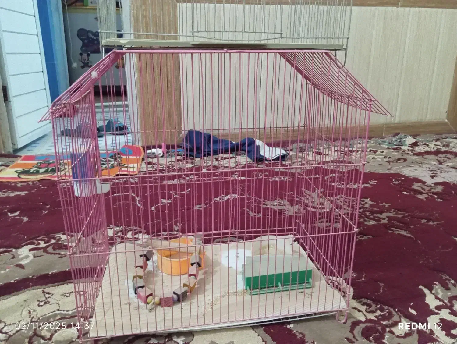 قفس فروشی|لوازم جانبی حیوانات|زابل, |دیوار