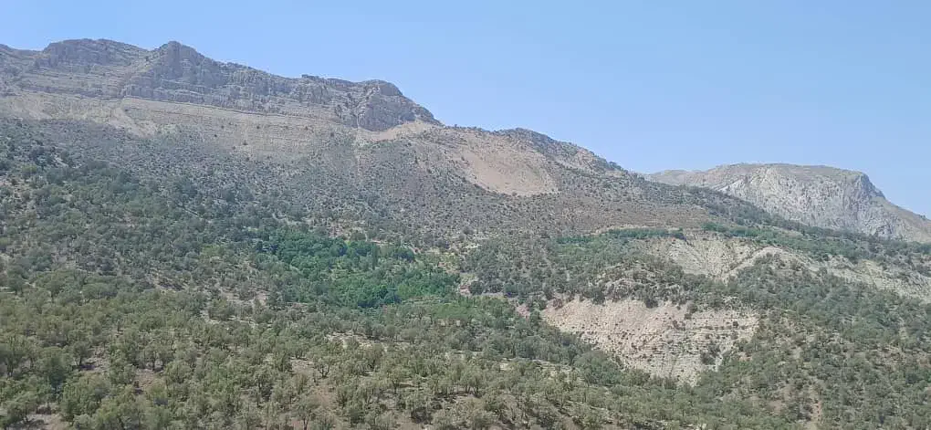 جاره یک باب منزل مسکونی شناژ شیک وتمیز|اجارهٔ خانه و ویلا|دهدشت, |دیوار