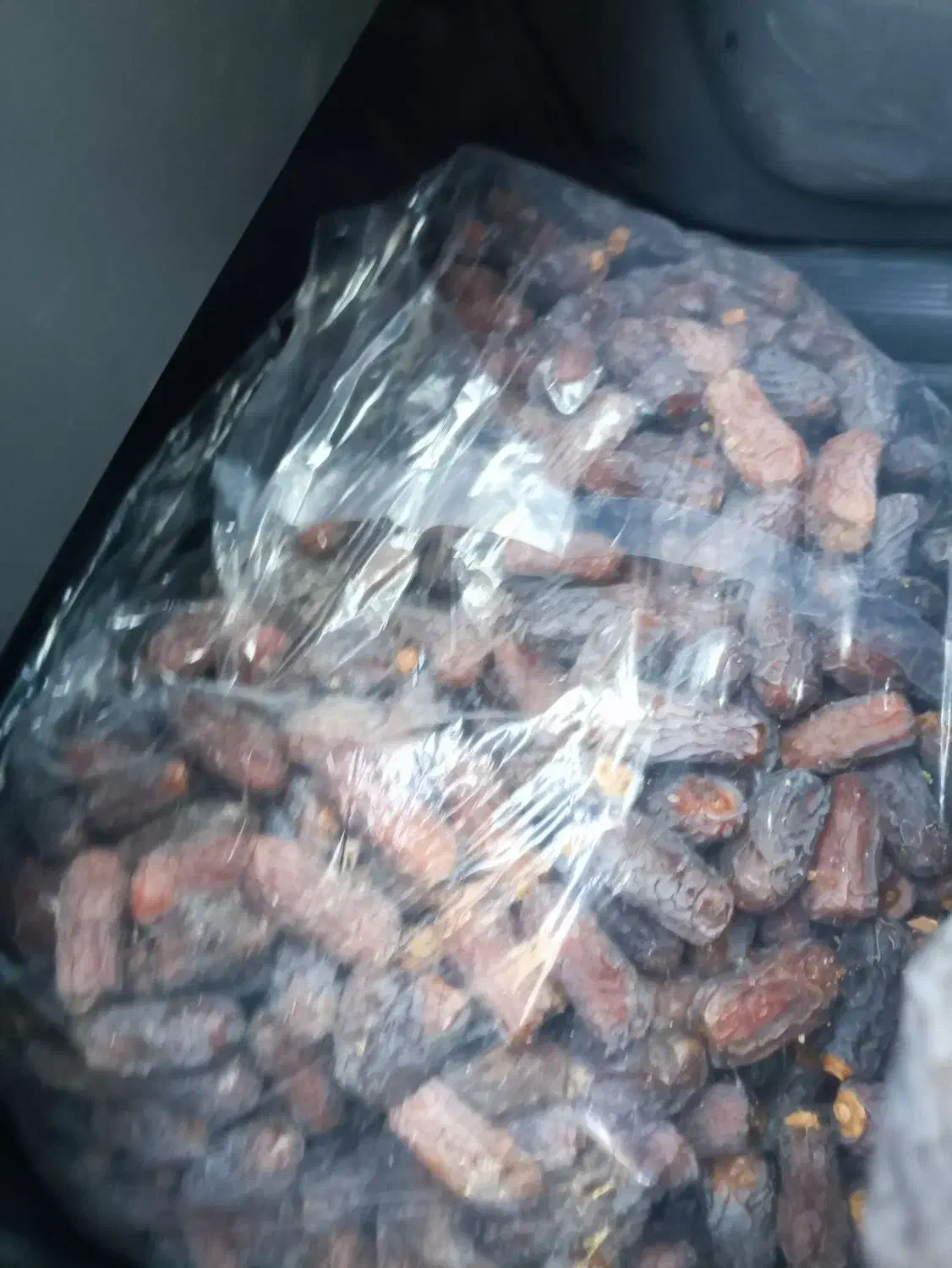 خرمای پیارم|خوردنی و آشامیدنی|جهرم, |دیوار