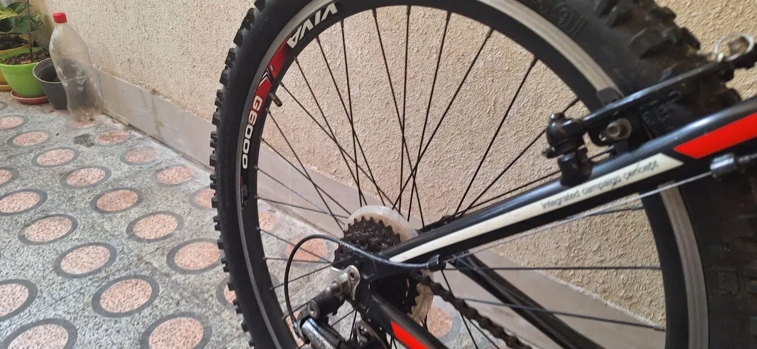 دوچرخه ۲۶ ویوا اصل بارکد دار مدل اکسیژن|دوچرخه، اسکیت، اسکوتر|لاهیجان, مهرگان|دیوار