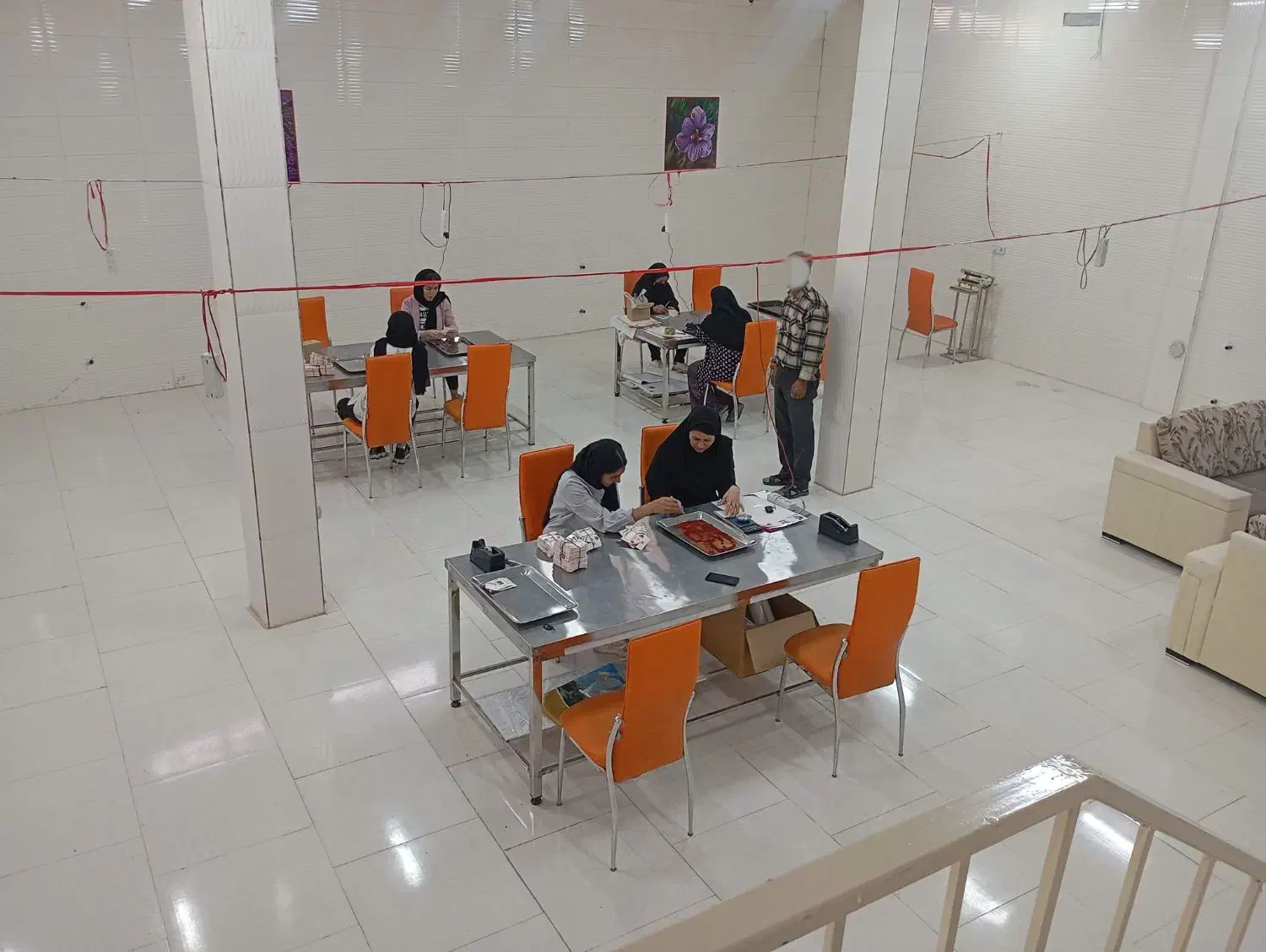 سرمایه گذاری و شراکت در شرکت زعفران|استخدام مالی، حسابداری، حقوقی|مشهد, کشف|دیوار