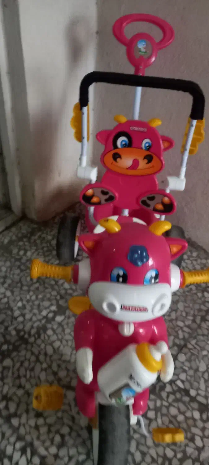 دوچرخه کودک|دوچرخه، اسکیت، اسکوتر|رشت, نخودچر|دیوار