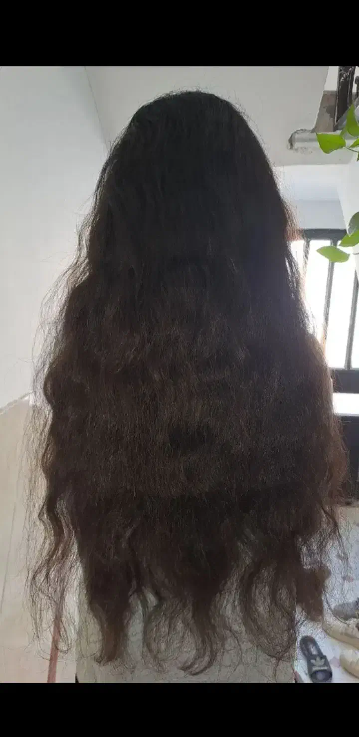 مو  سالم|آرایشی، بهداشتی، درمانی|تهران, دانشگاه شریف|دیوار