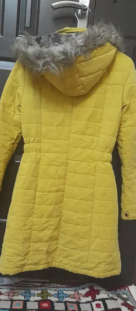 ۴ عدد کاپشن در حد نو|لباس|میانه, |دیوار