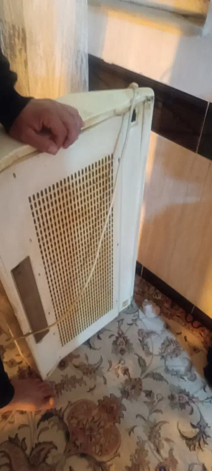 هود|هود|خرم‌آباد, |دیوار