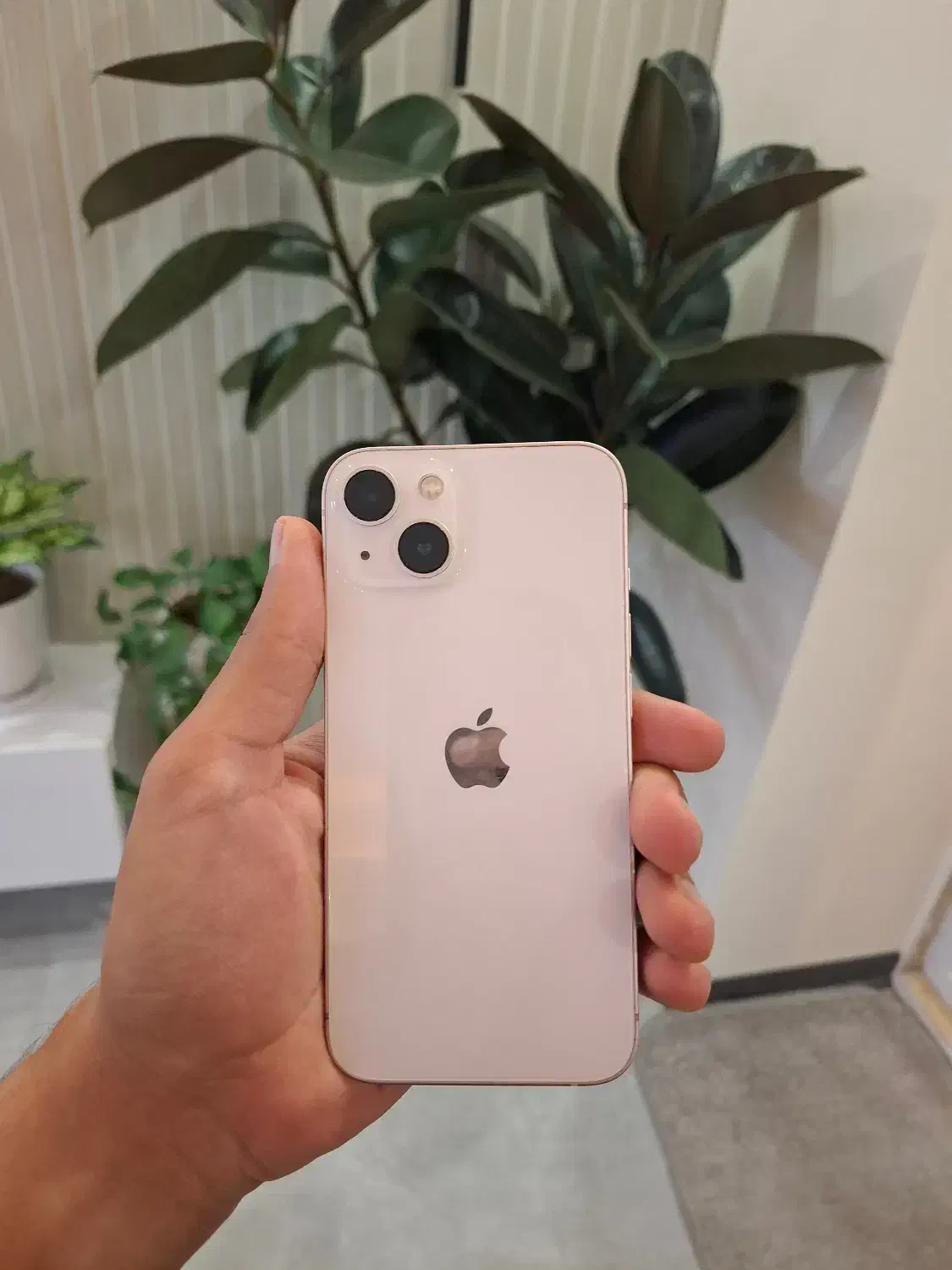 iPhone 13 نرمال|موبایل|کرج, کوی امامیه|دیوار