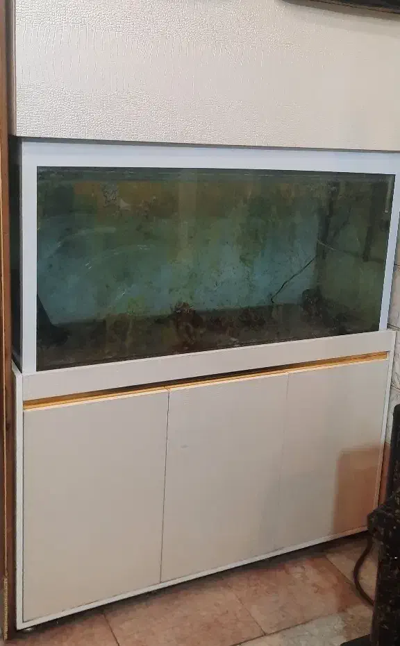 قیمت مناسب و سالم|لوازم جانبی حیوانات|تهران, جوادیه تهرانپارس|دیوار