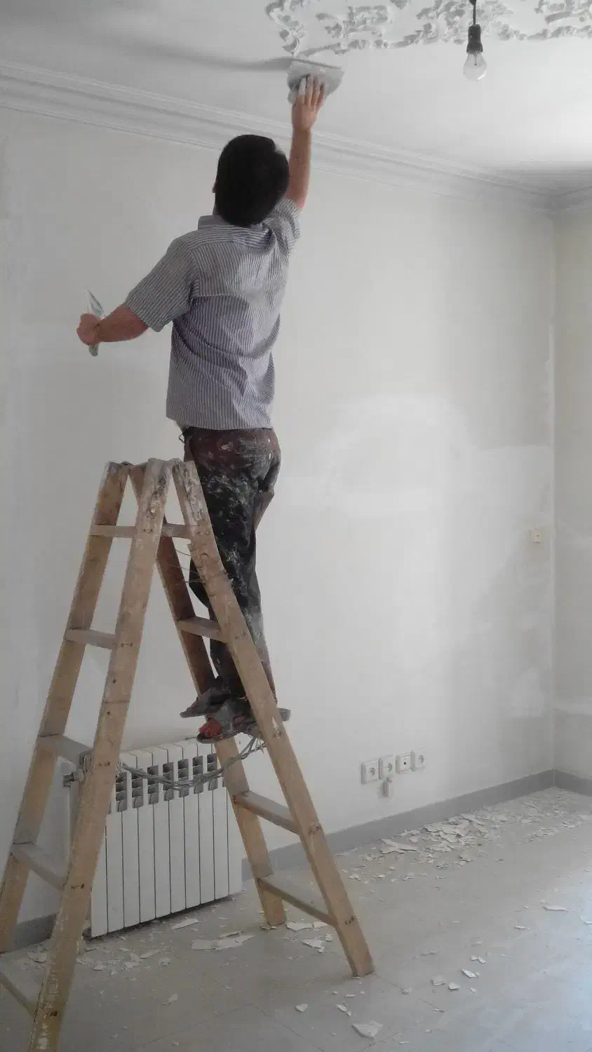 رنگ آمیزی منزل|خدمات پیشه و مهارت|فاضل آباد, |دیوار