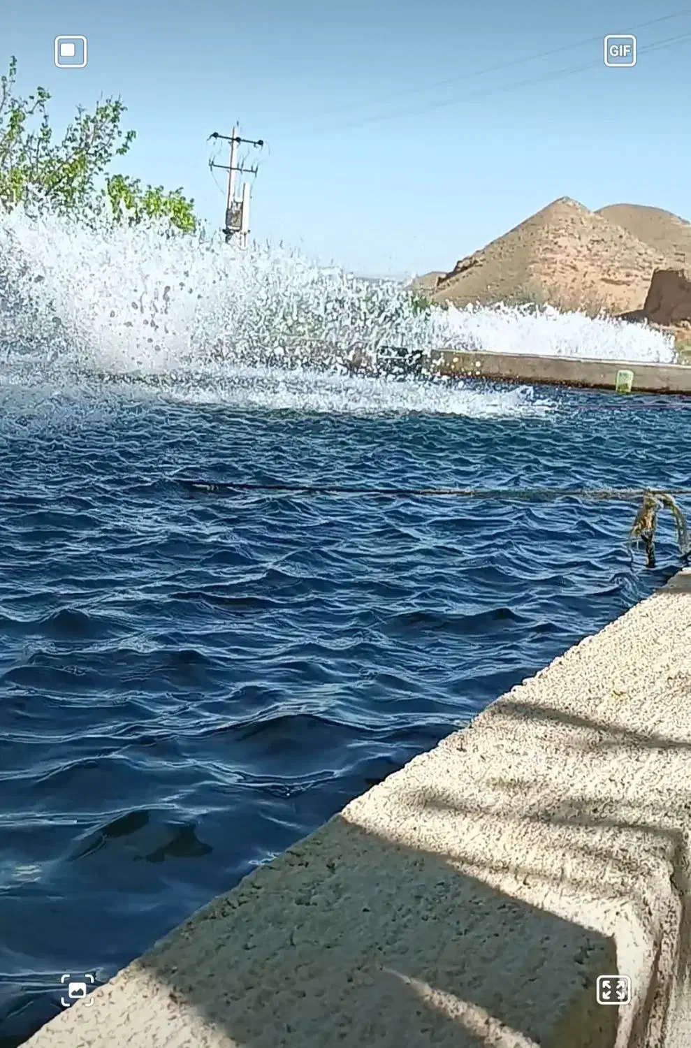 ماهی قزل آلا|ماهی|ماهنشان, |دیوار