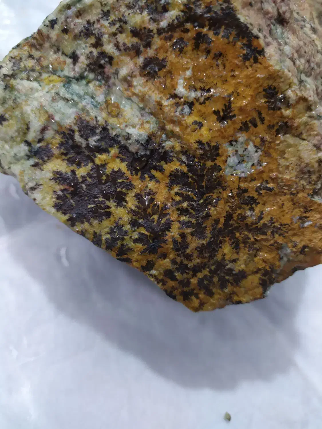 سنگ شجرطلایی|زیورآلات و اکسسوری|نیشابور, شهرک اندیشه|دیوار