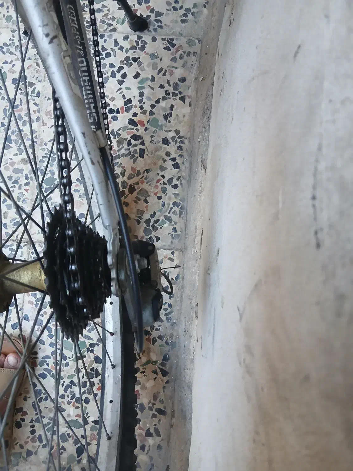 دوچرخه 26|دوچرخه، اسکیت، اسکوتر|اهواز, ملاشیه|دیوار