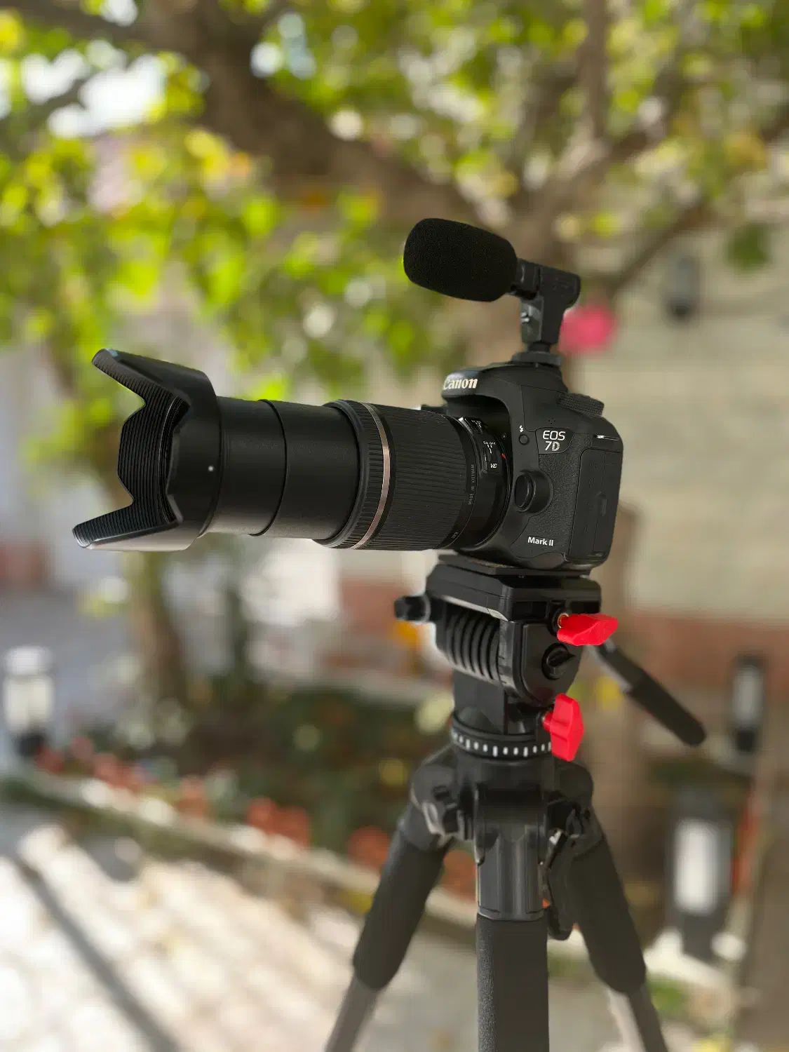 Canon 7D mark II+18-200 نو نو با گارانتی و تجهیزات|دوربین عکاسی و فیلم‌برداری|تهران, نارمک|دیوار