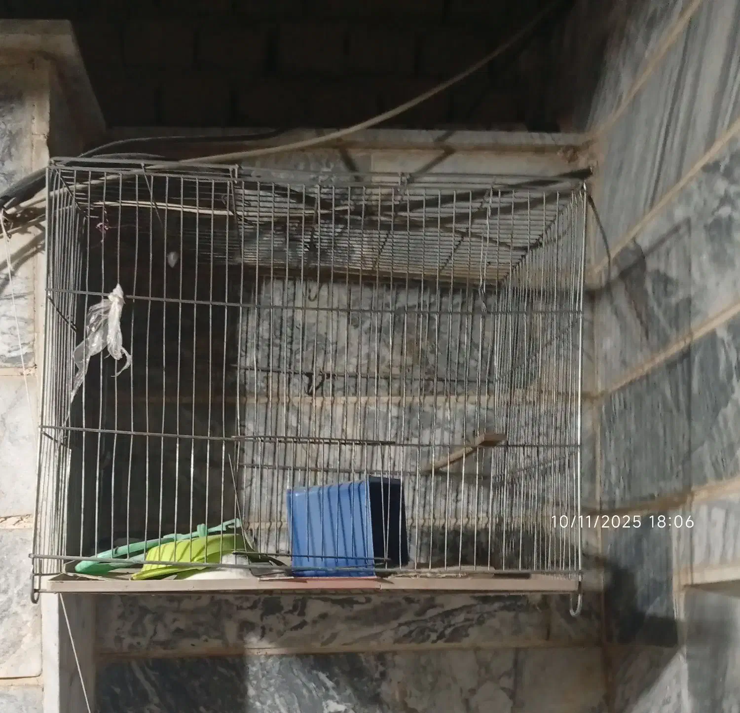 قفس|لوازم جانبی حیوانات|بروجرد, |دیوار