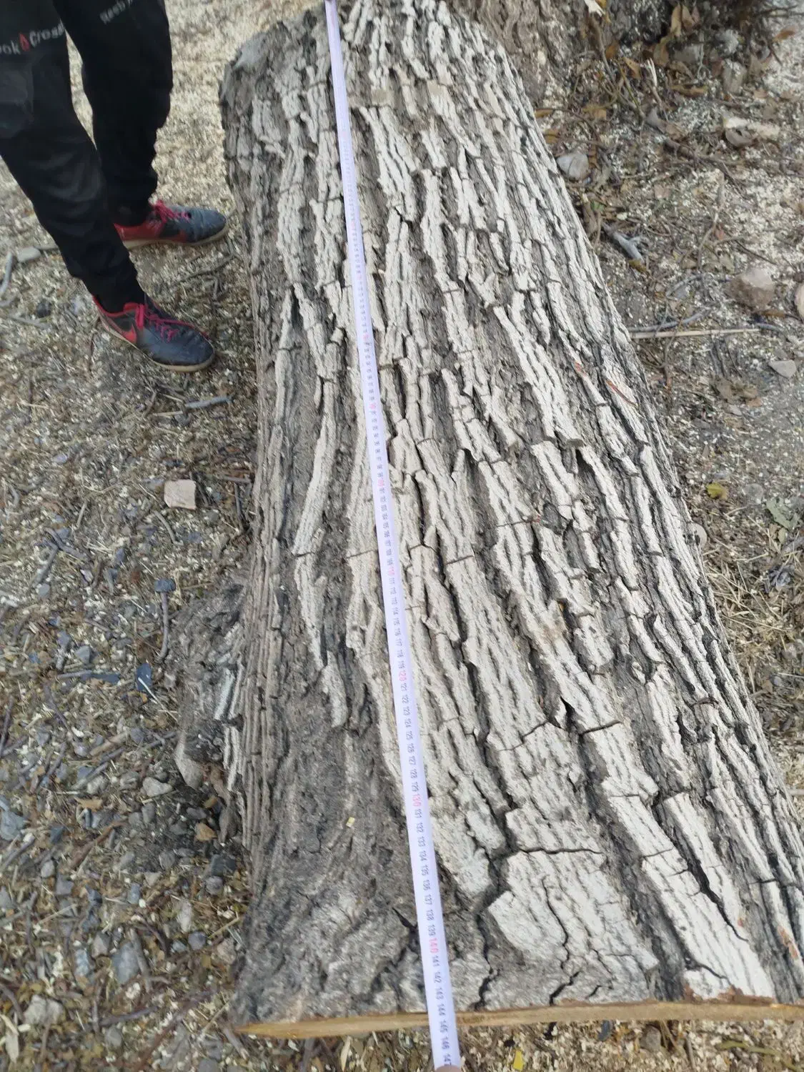 خریدوفروش انواع چوب|عمده‌فروشی|خمین, |دیوار