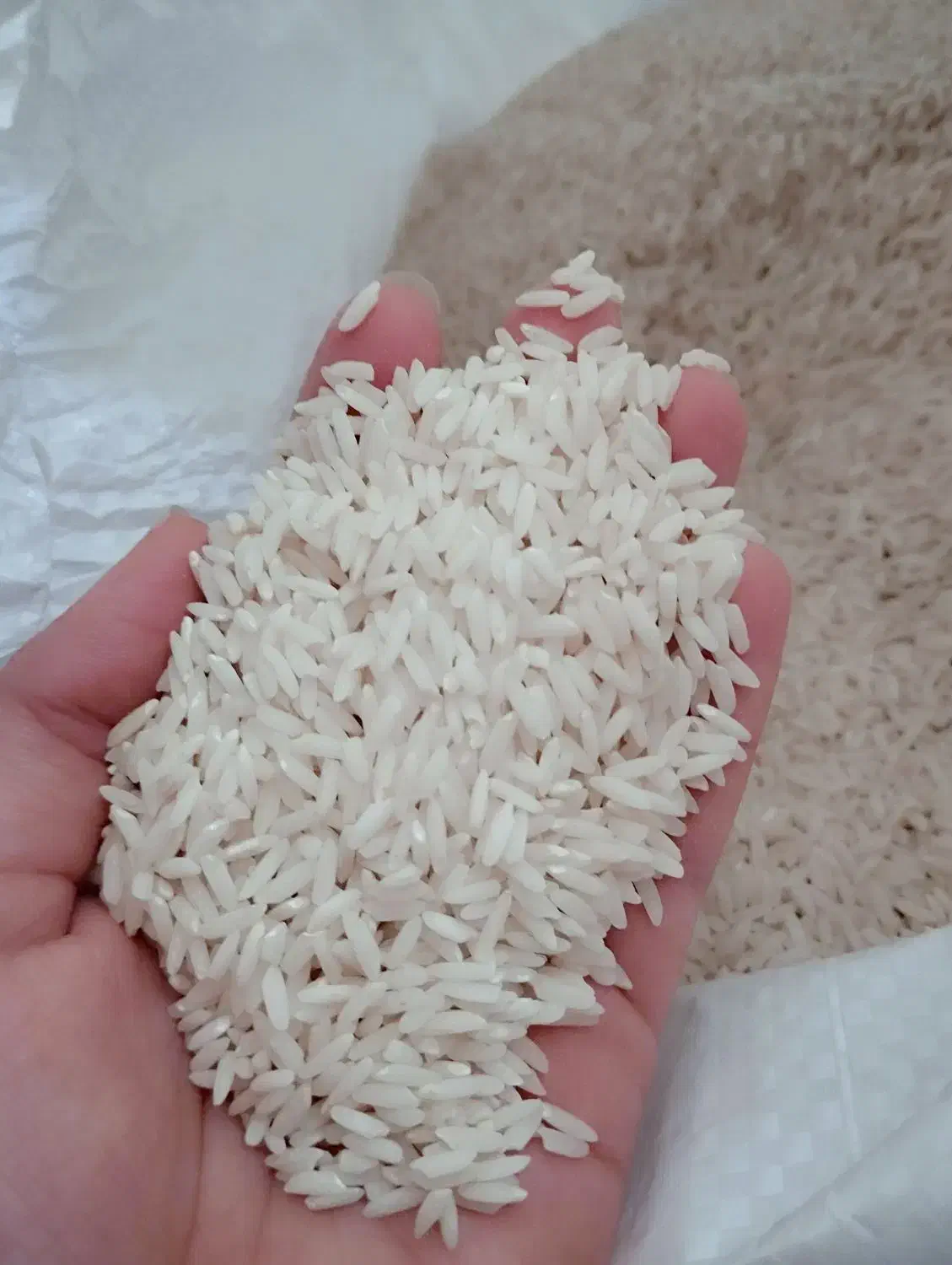برنج طارم هاشمی|خوردنی و آشامیدنی|اصفهان, پوریای ولی|دیوار