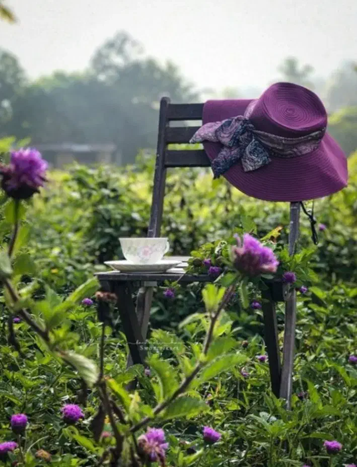 تور طبیعت|تور و چارتر|اردبیل, |دیوار