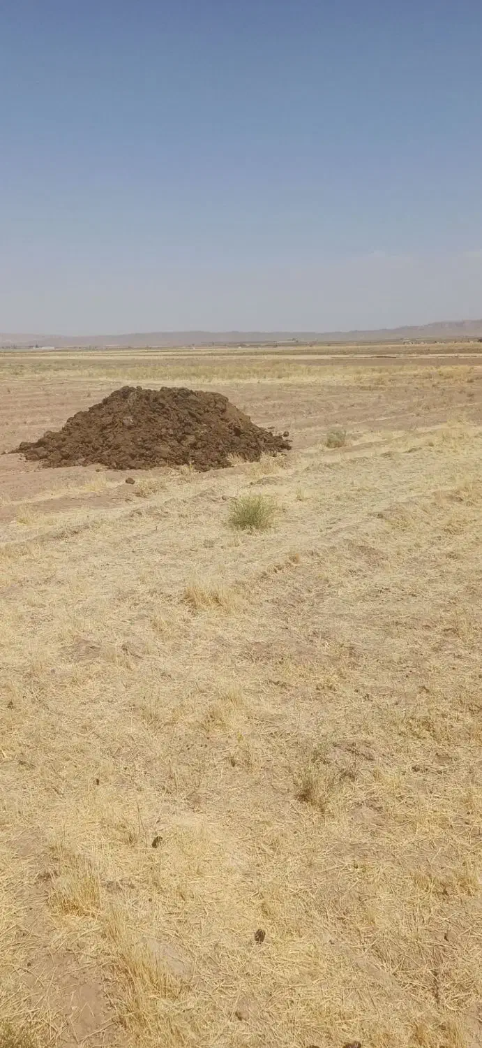 کود حیوانی.گاوی.گوسفندی.مرغی|خدمات باغبانی و درختکاری|تربتحیدریه, بالا ولایت|دیوار