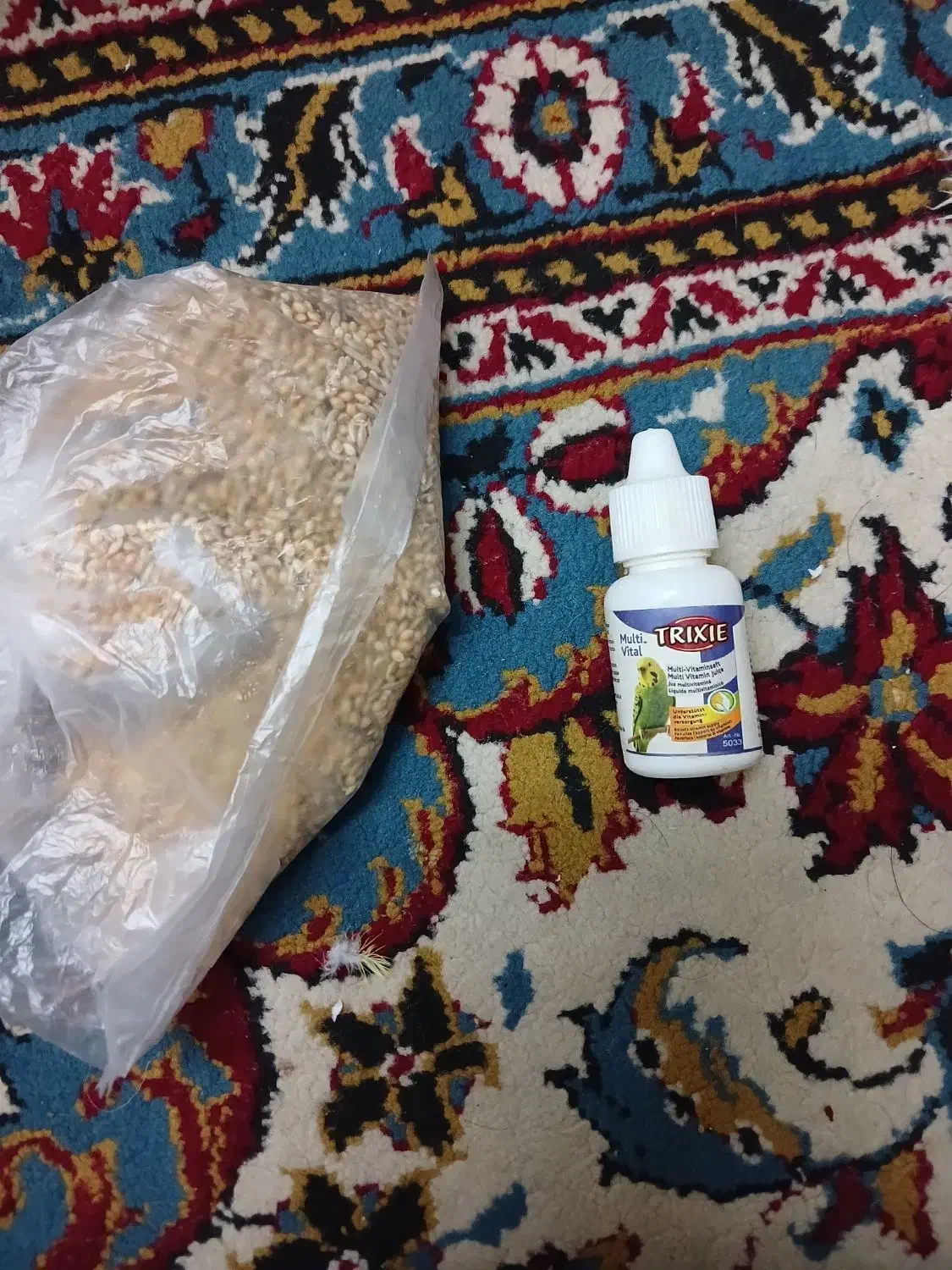 قفس مرغ عشق و عروس هلندی|لوازم جانبی حیوانات|مشهد, رده|دیوار