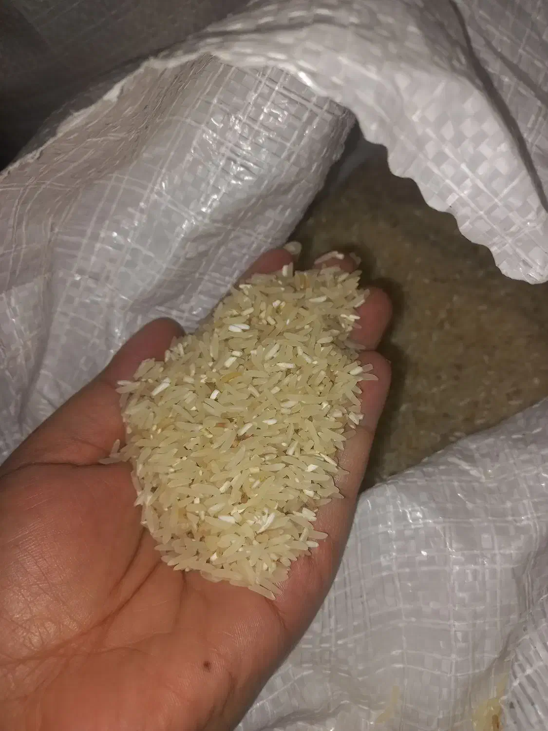 برنج فجرسوزنی|عمده‌فروشی|آق قلا, |دیوار