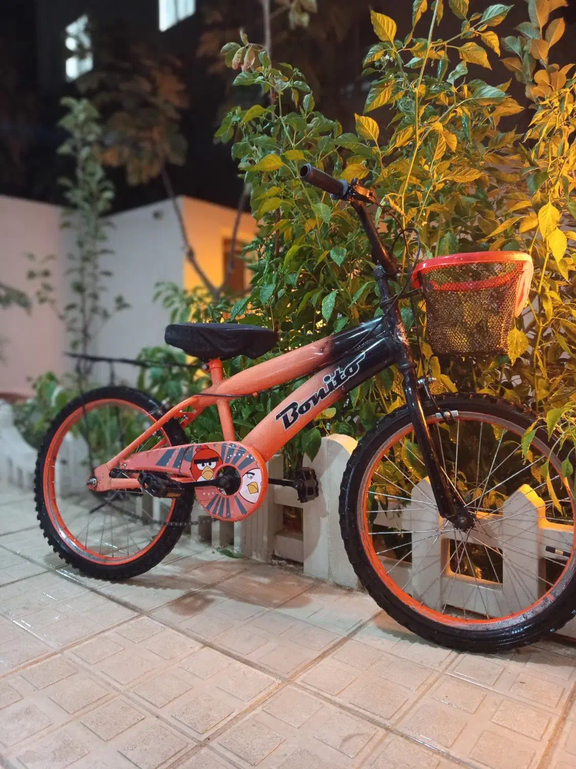 دوچرخه سایز ۲۰|دوچرخه، اسکیت، اسکوتر|بجنورد, |دیوار