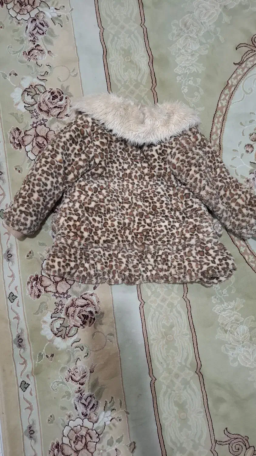 پالتو پلنگی|لباس|سمنان, |دیوار