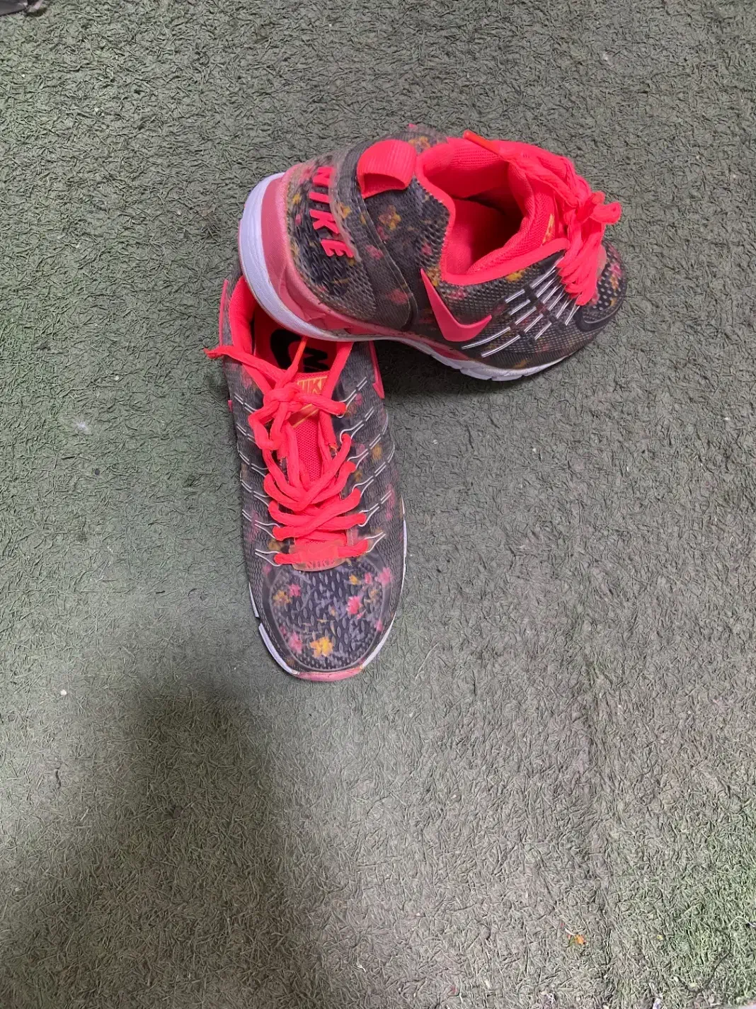 کتونی|کیف، کفش، کمربند|قائم‌شهر, |دیوار