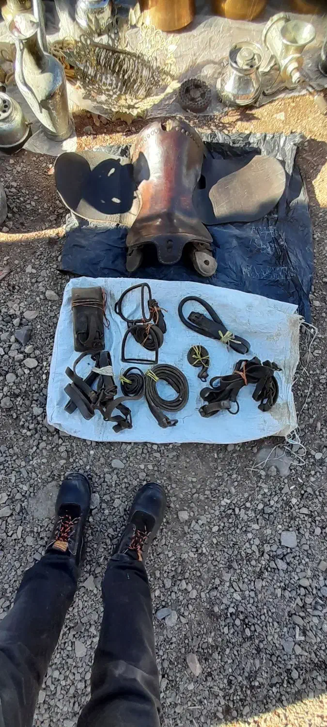 زین اسب|اسب و تجهیزات اسب‌سواری|هریس, |دیوار