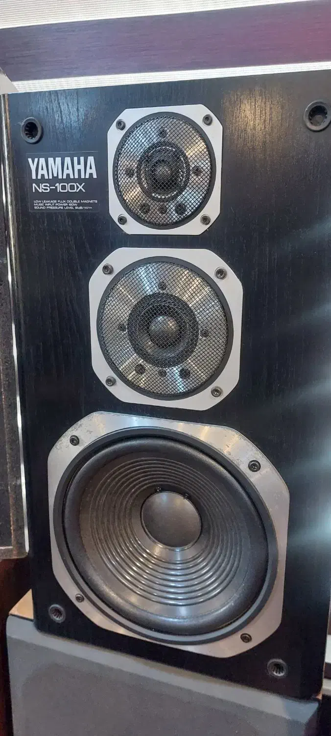 یاماها ns-100X|سیستم صوتی خانگی|تهران, طرشت|دیوار