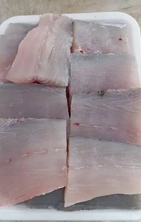 ماهی ومیگو|ماهی|شیراز, شهرک بهار|دیوار