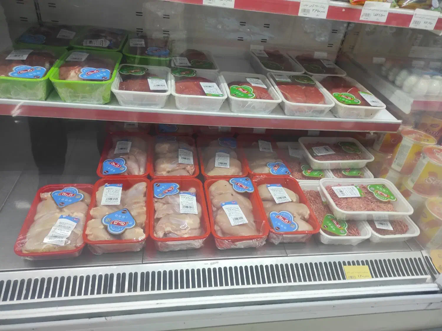 گوشت و مرغ|خوردنی و آشامیدنی|اسلام‌شهر, شهرک سعیدیه|دیوار