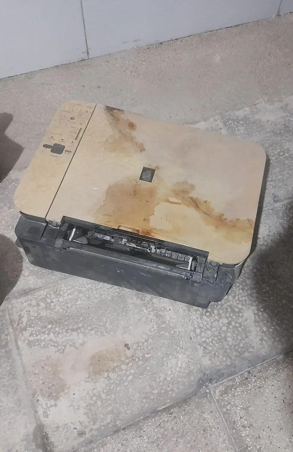 دستگاه پرینت|پرینتر، اسکنر، کپی، فکس|شیراز, کوشک میدان|دیوار