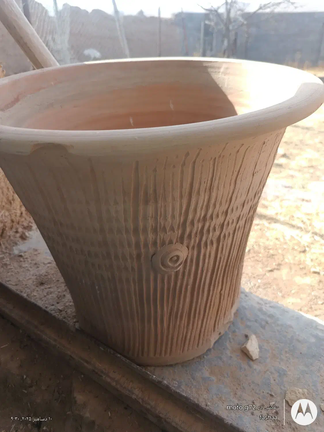 گلدان بزرگ|گل و گیاه طبیعی|سرولایت, |دیوار