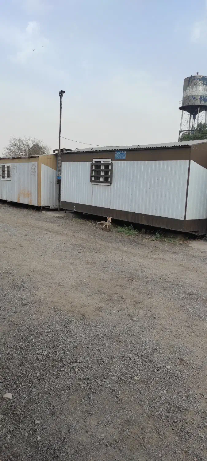 استخدام راننده پایه ۲ و یک نفر راننده ویژه لودر|استخدام حمل و نقل|ری, شهادت|دیوار